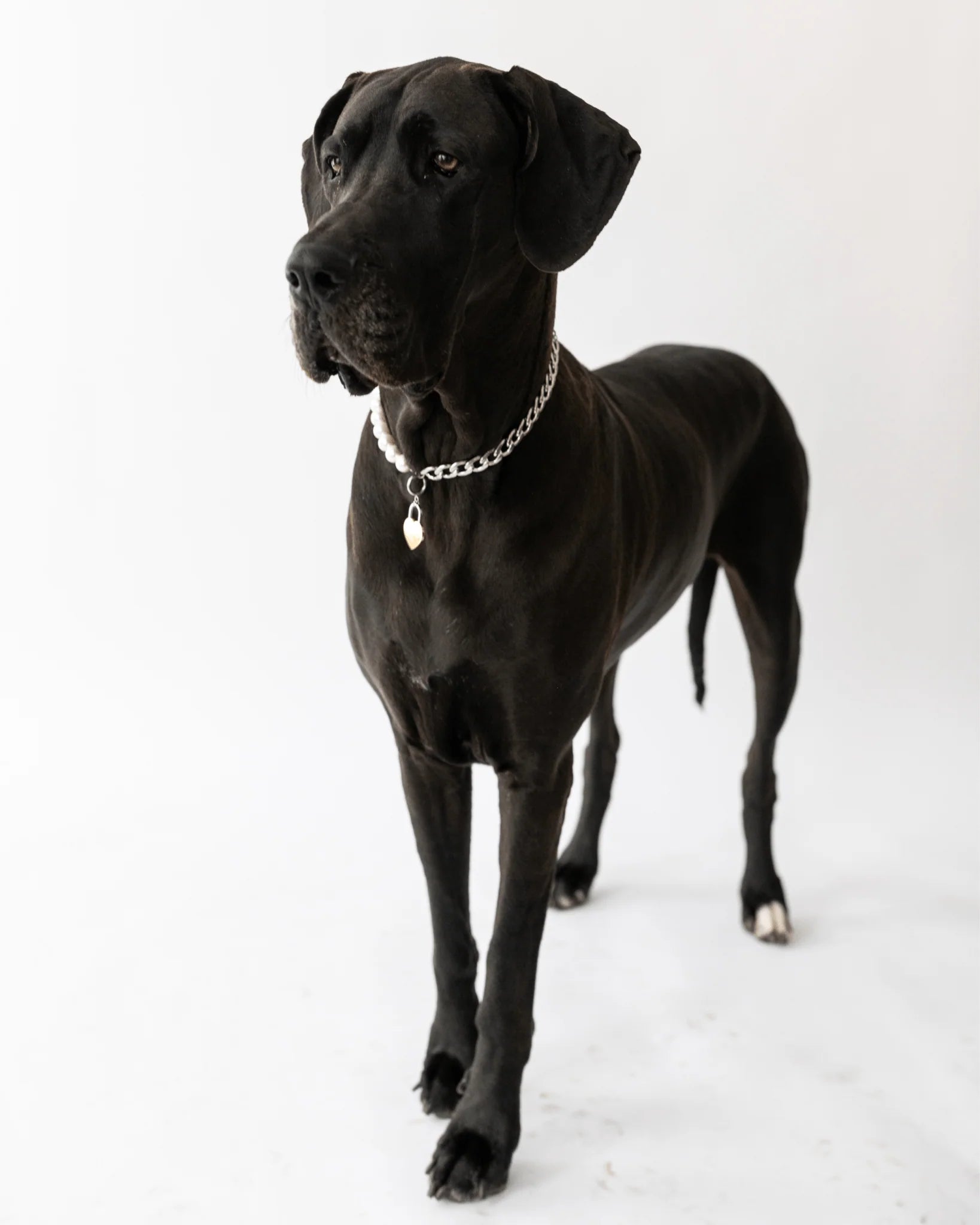 The Lola Necklace