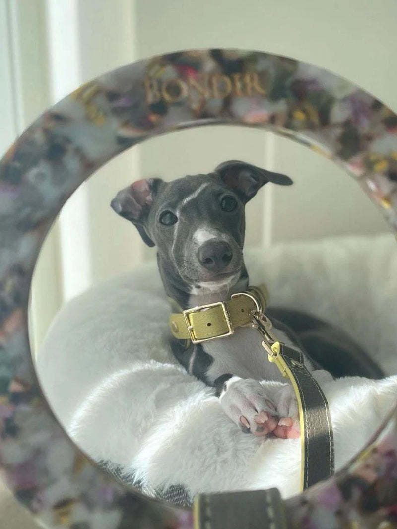 Rosy Leather Dog Leash