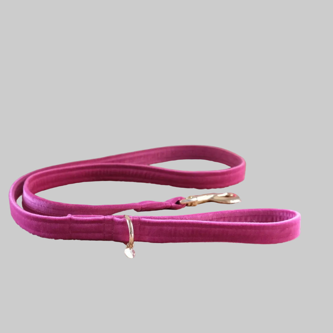 Velvet Bow Collar Set