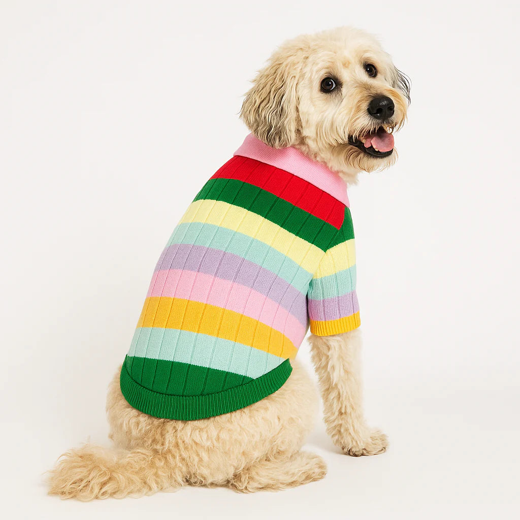 Rainbow Sweater
