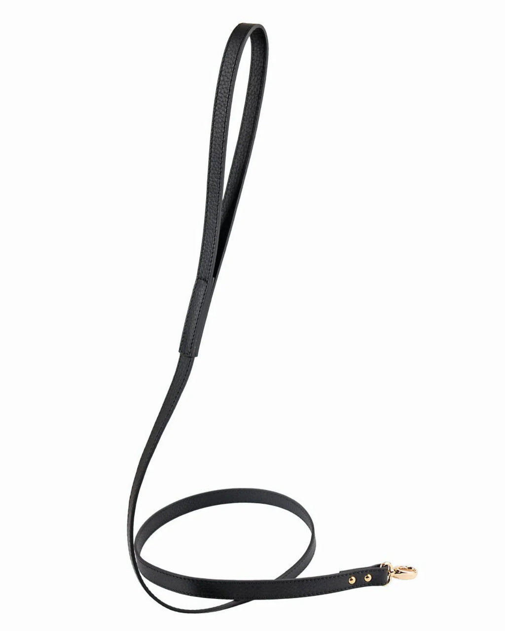 Balley Dog Leash