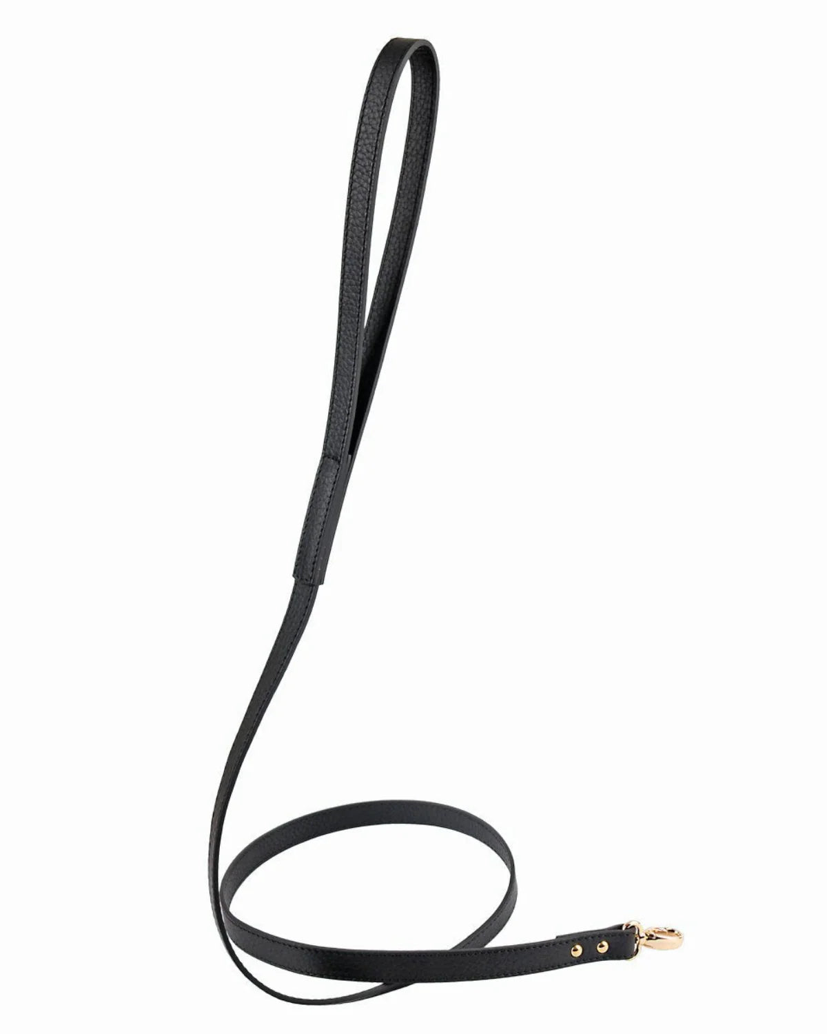 Balley Dog Leash