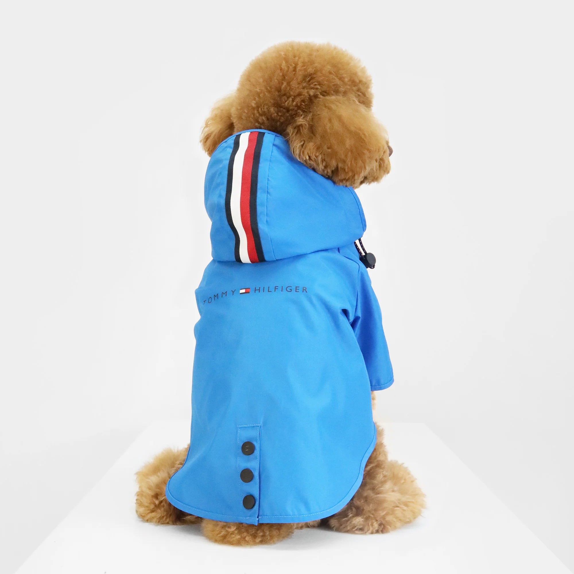 Rain Coat