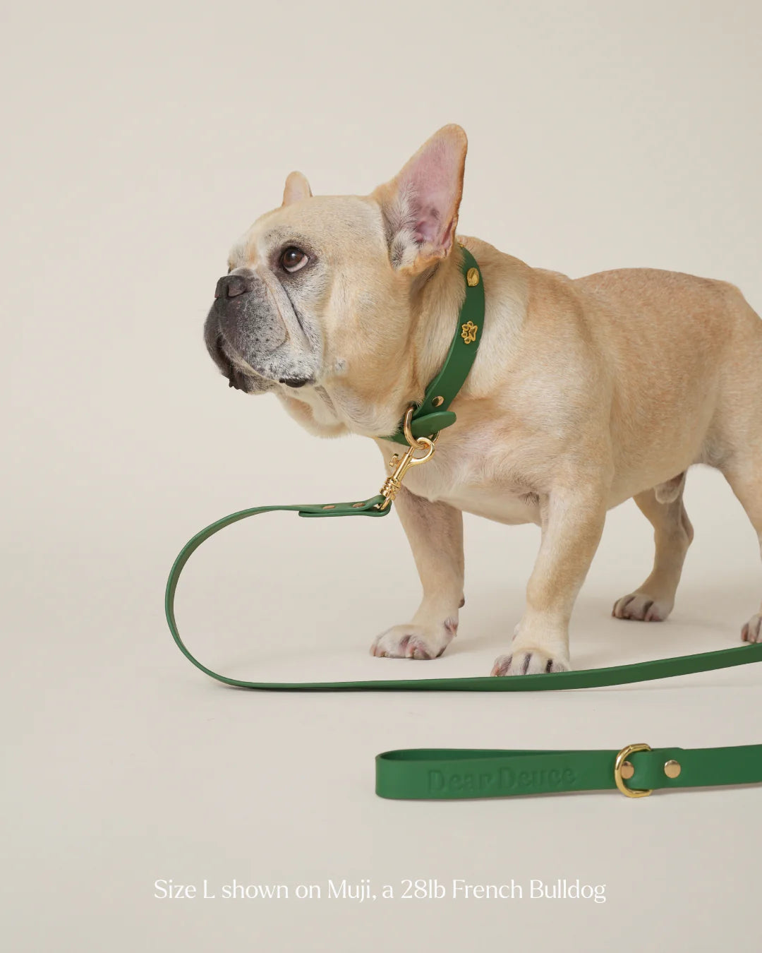 Athlete Collar