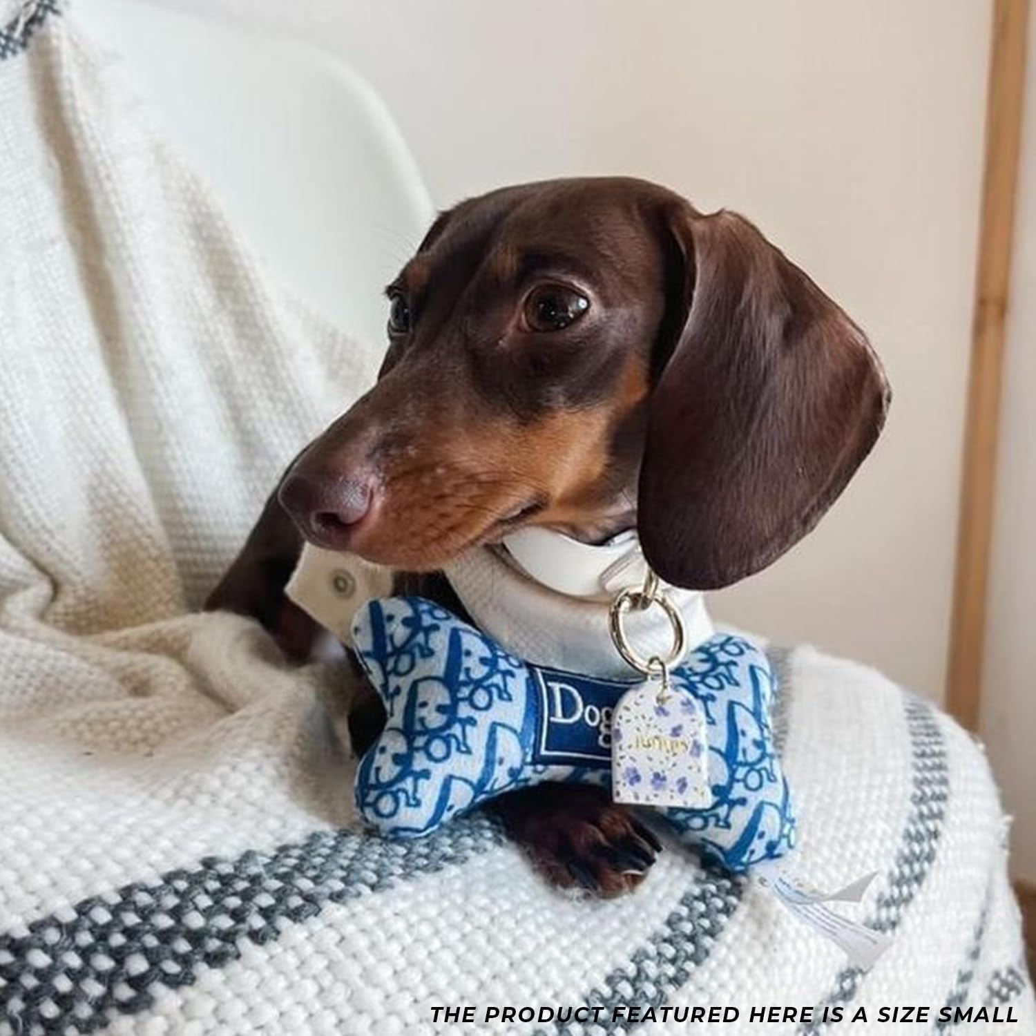 Dogior Bone - Plush Designer Toy