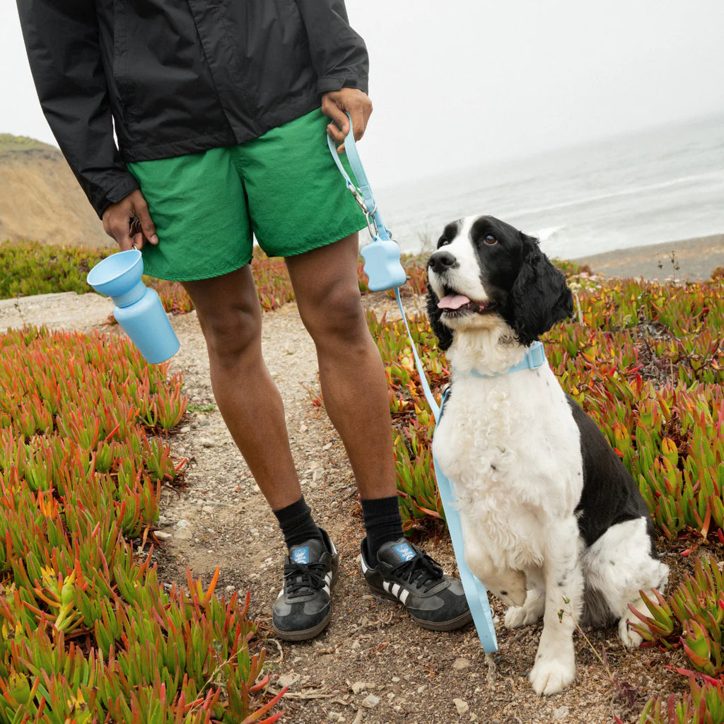 Waterproof Dog Leash + Collar Set
