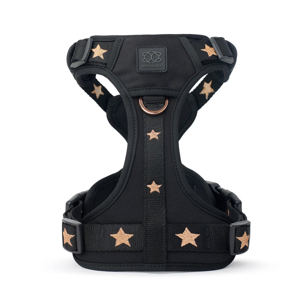 City Leash Set - Rockstar (Nomad)