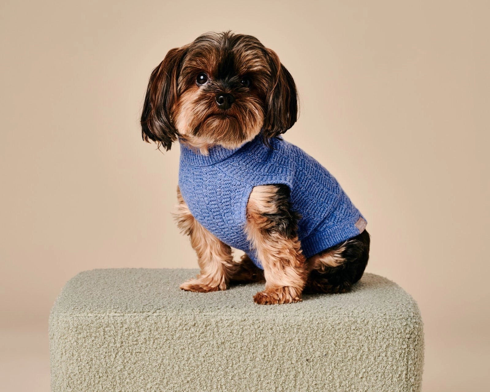 Coco Sweater – Blue