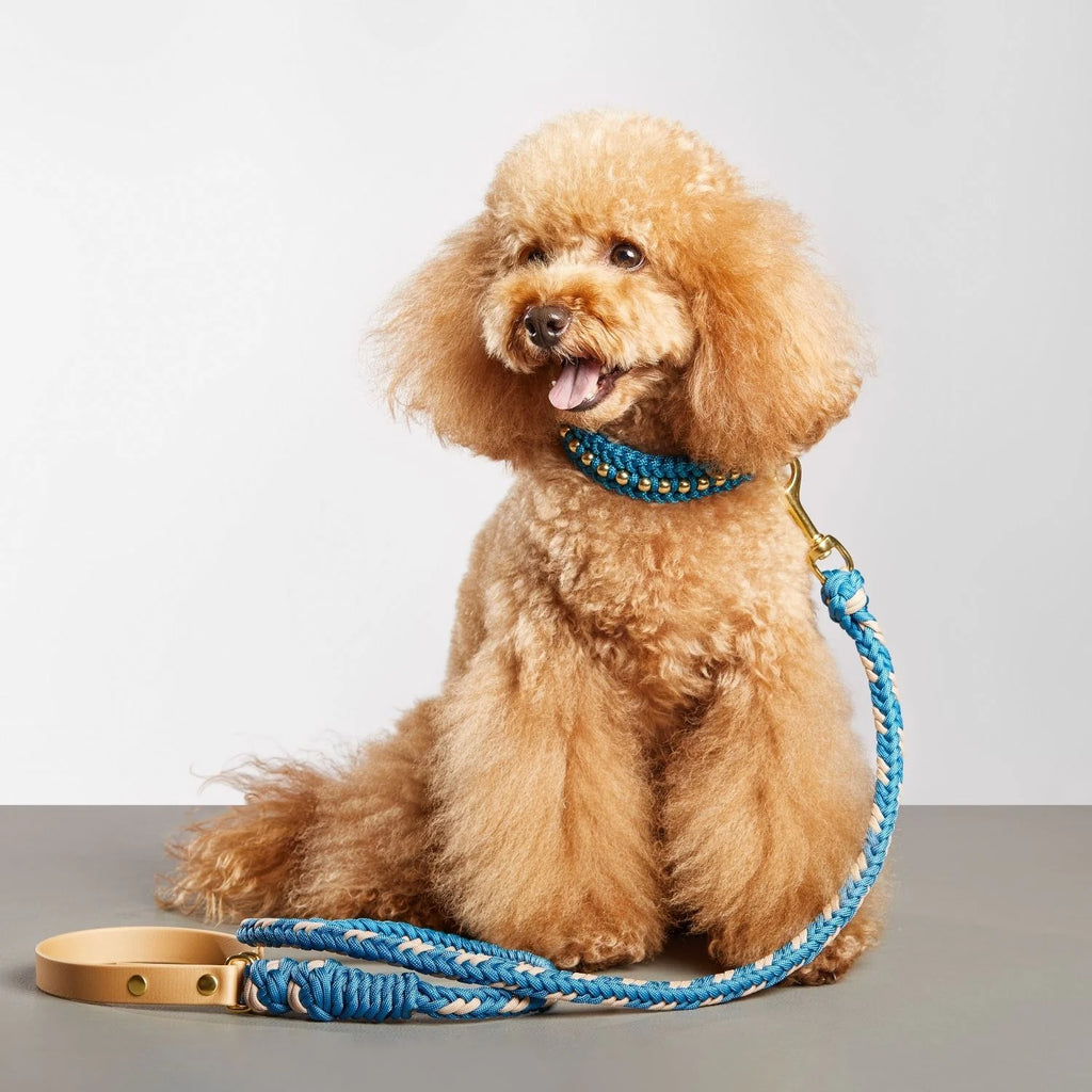 Valentina Turquoise Collar