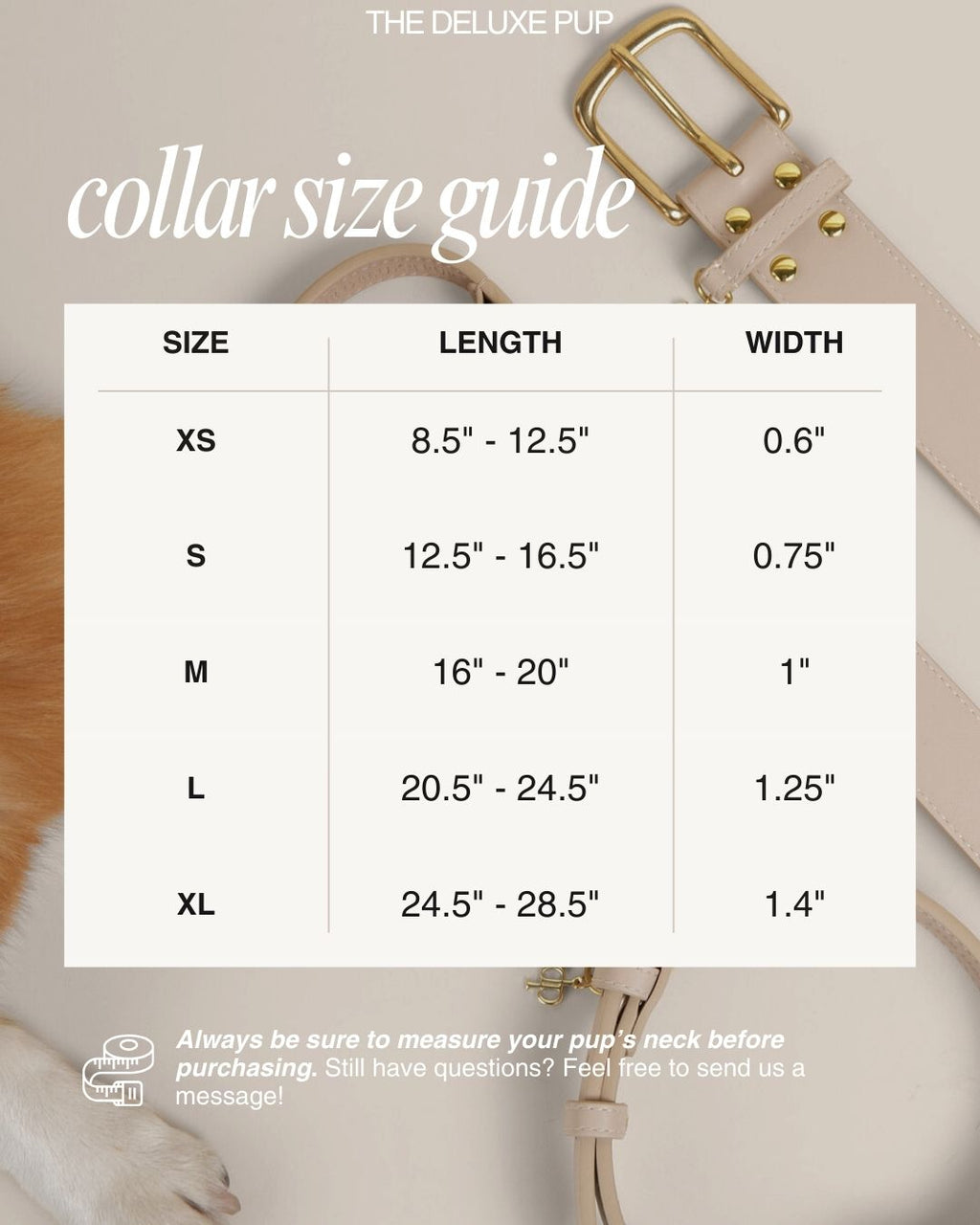 BEVERLY COLLAR
