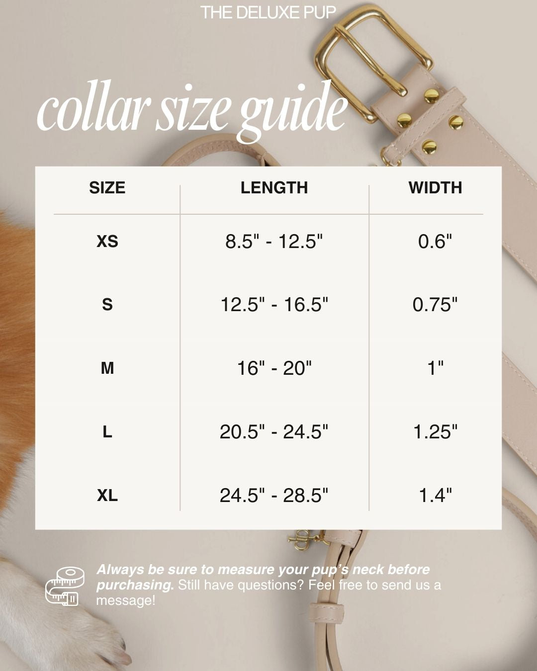 BEVERLY COLLAR