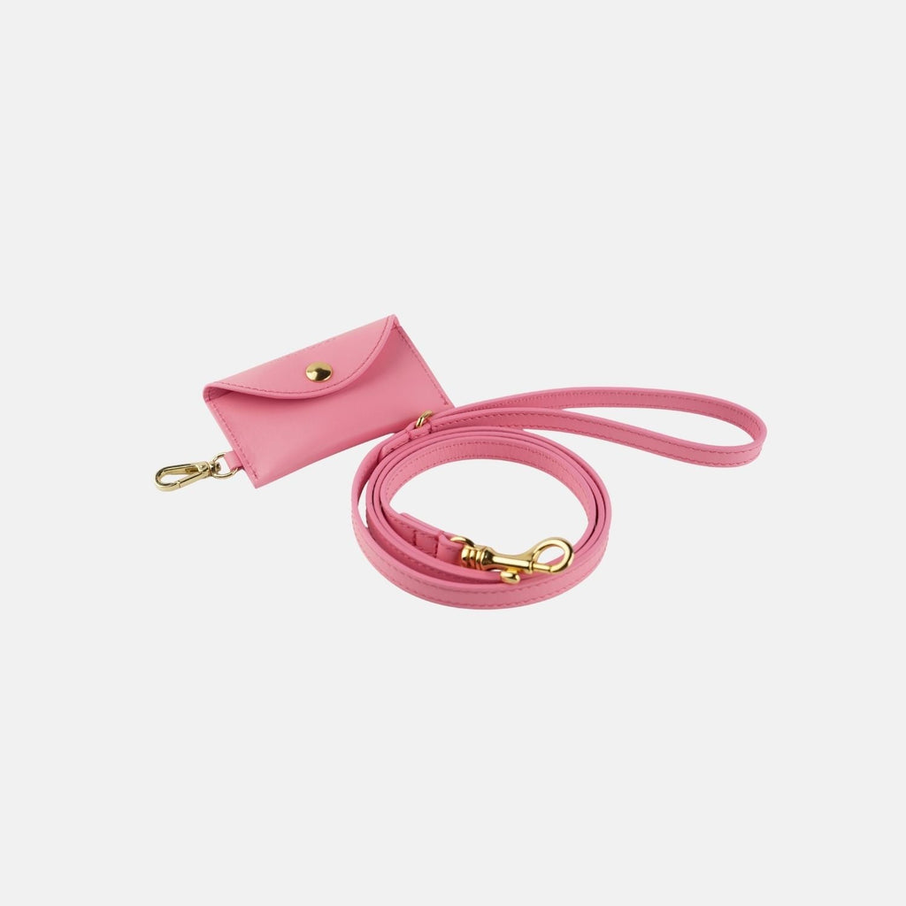 Pink Leather Leash
