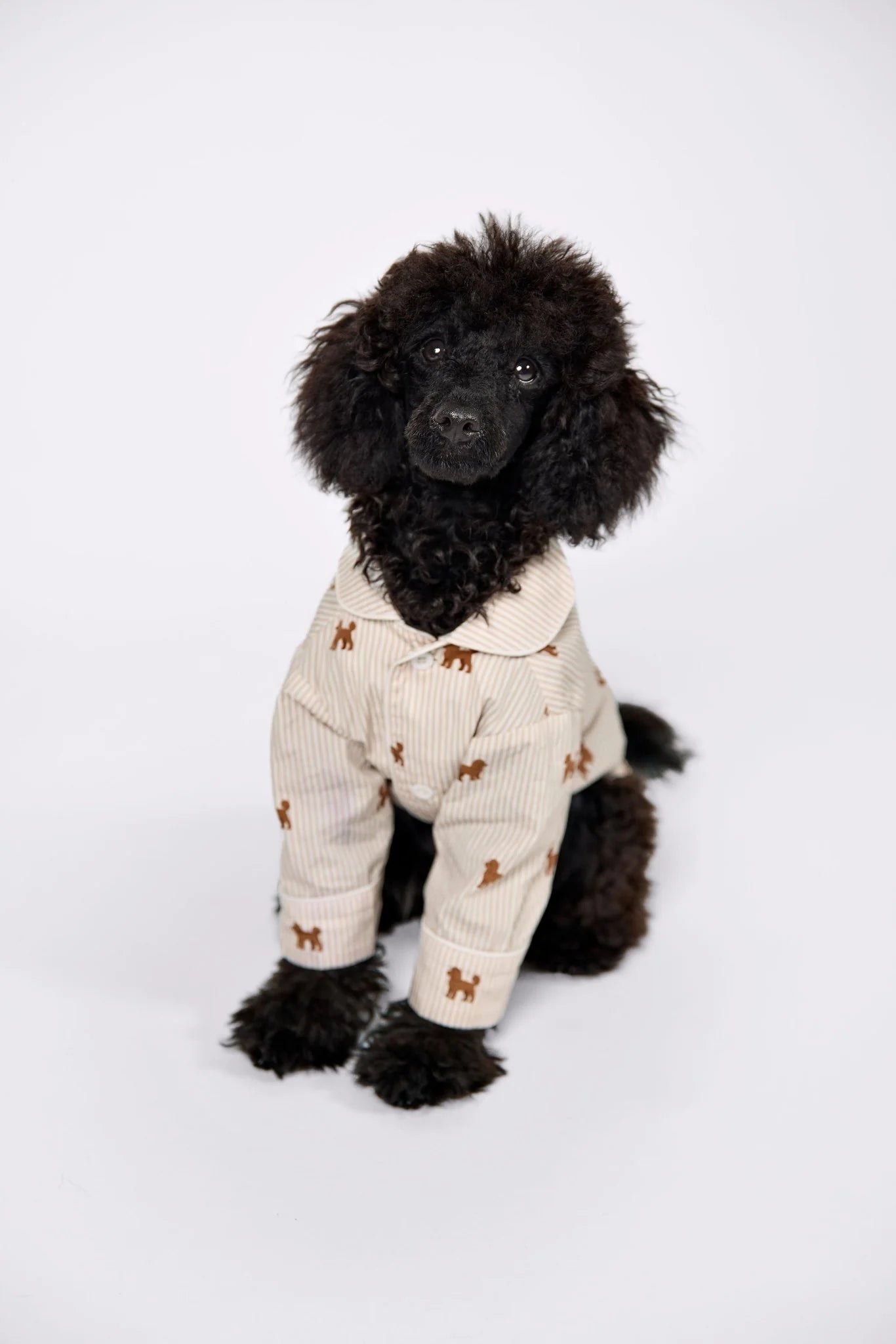 Doodle Dog Pajama Shirt – Brown & White