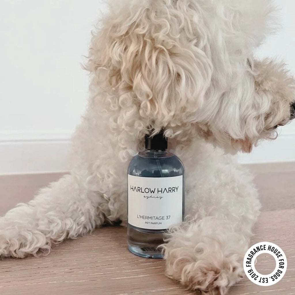 Dog Perfume | L'Hermitage 37