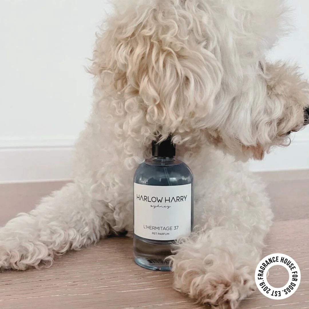Dog Perfume | L'Hermitage 37