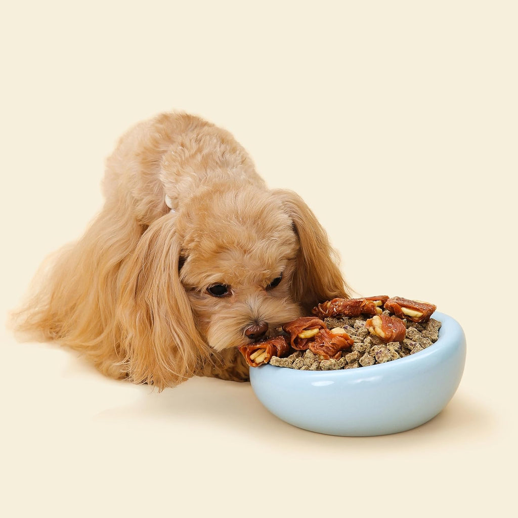 The Pebble Pet Bowl - Deep Blue