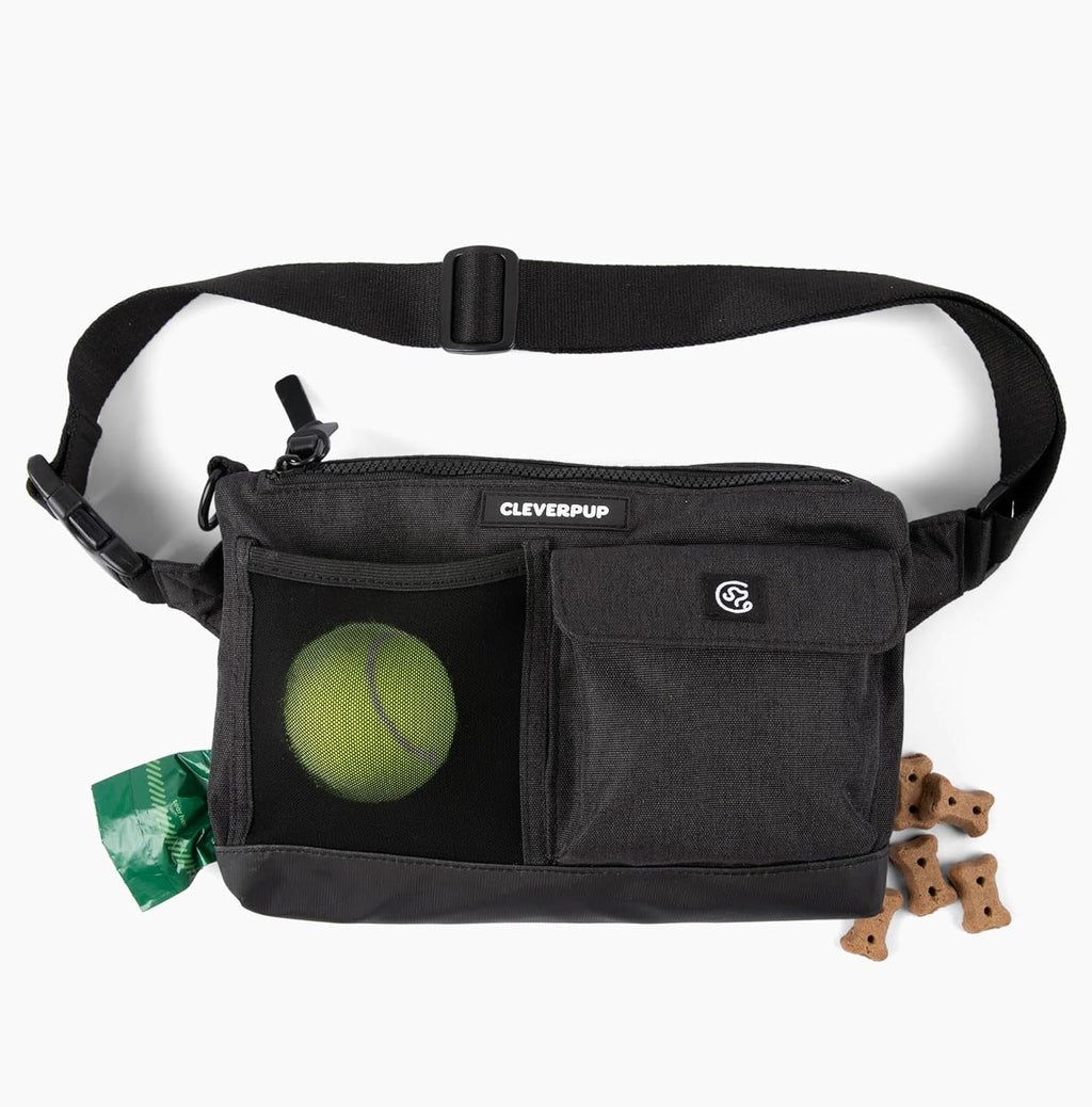 Hands-Free Dog Walking & Training Bag