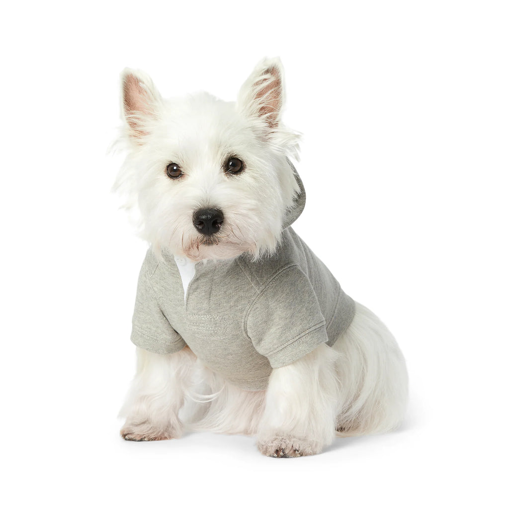 Polo Ralph Lauren Bear-Fleece Dog Hoodie