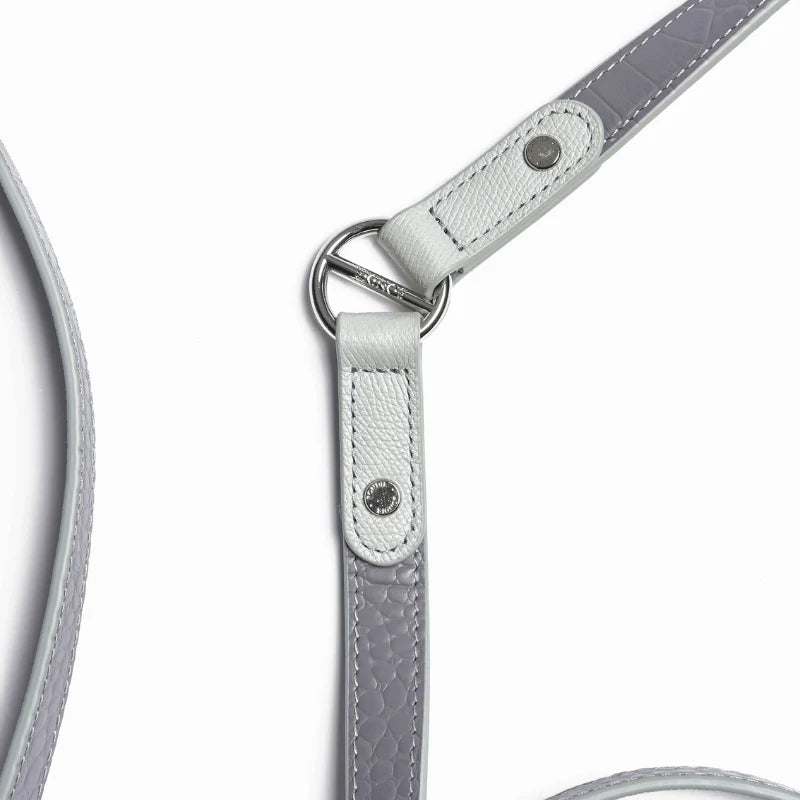 Moonstone Hands-Free Dog Leash