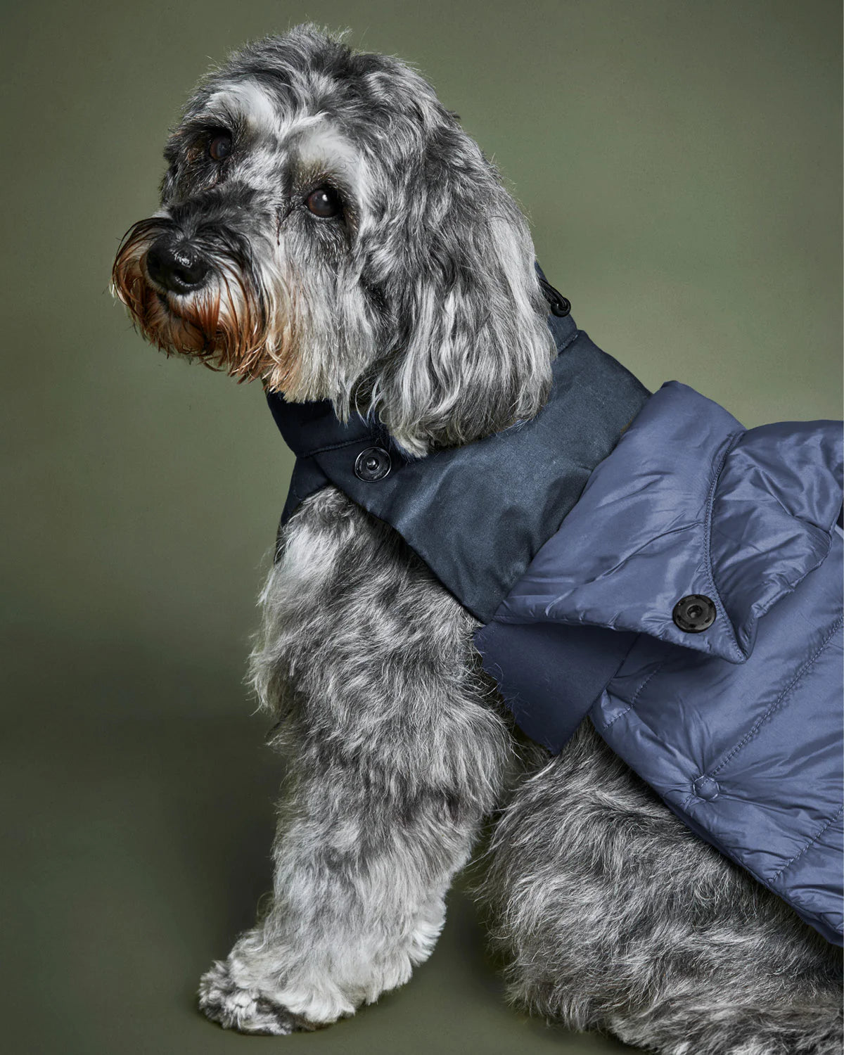 The 2-In-1 Classique Trench - PURPLE GRAY