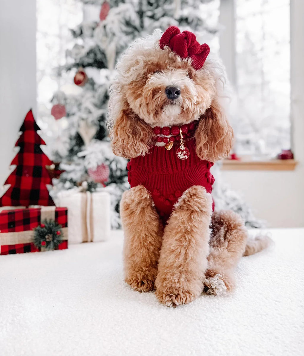 Heartknit Sweater - Red Velvet