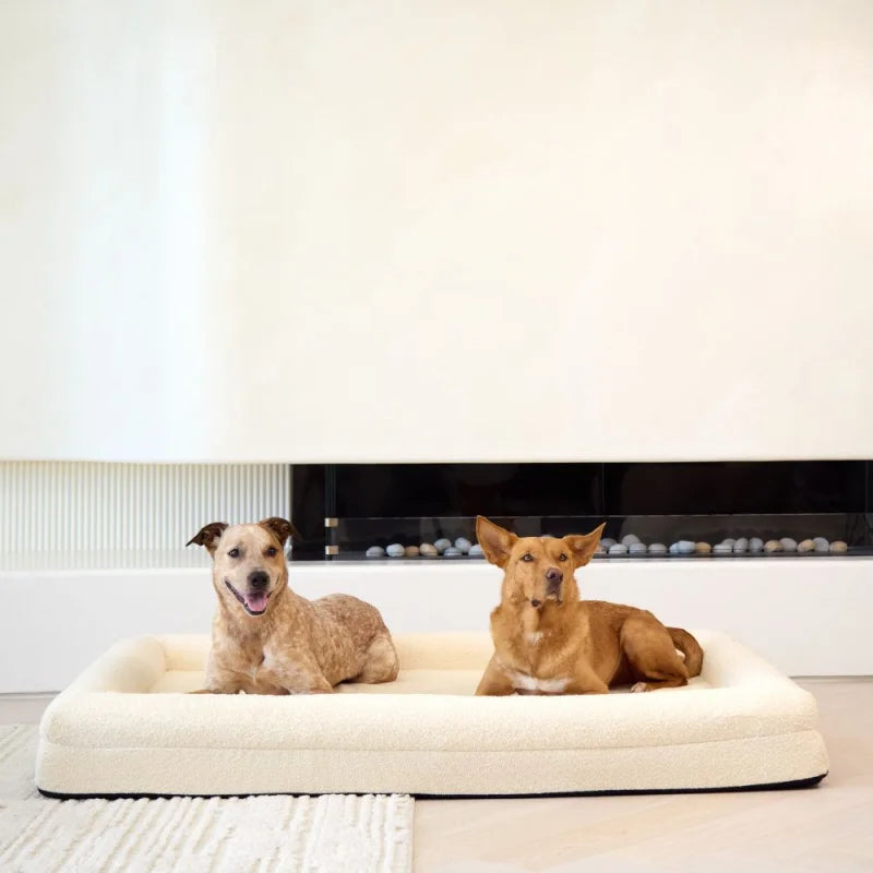 Memory Foam Dog Bed - Bouclé Ivory