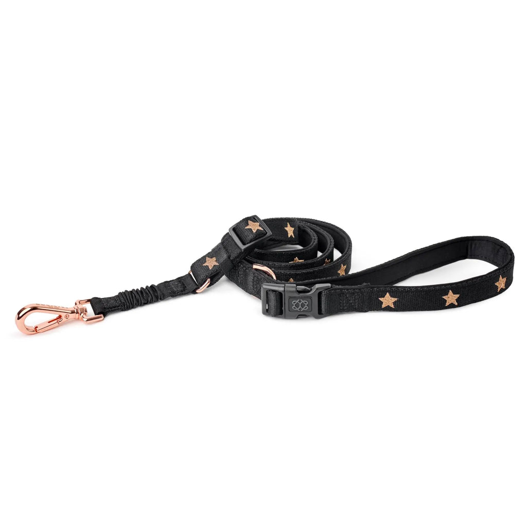 Soho Dog Walking Set - Rockstar