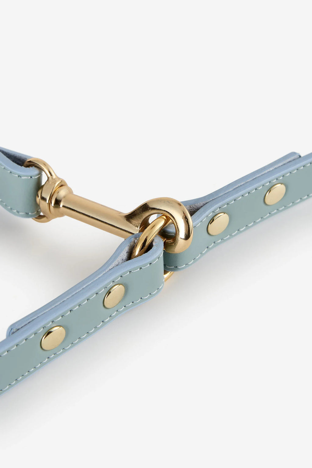 Sky Blue Leather Nara Dog Lead