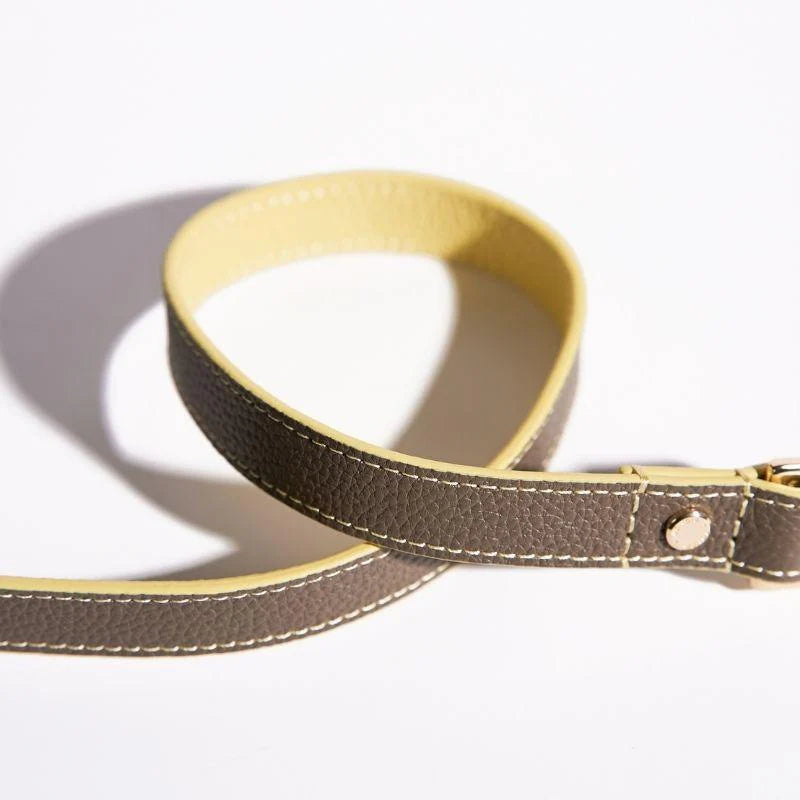 Rosy Leather Dog Leash
