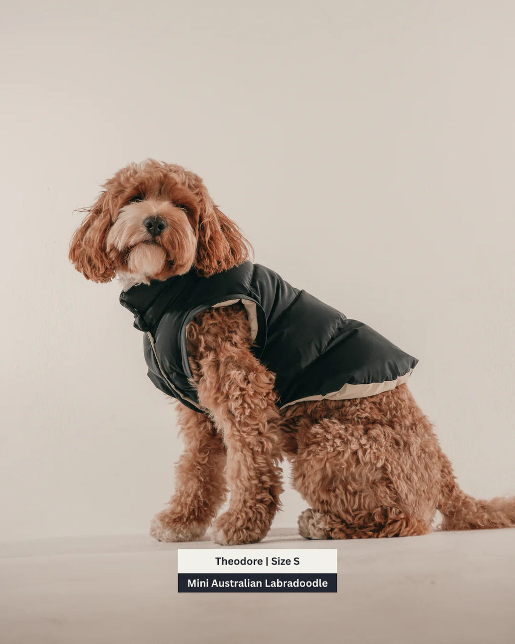 Midnight | the Modular Puffer