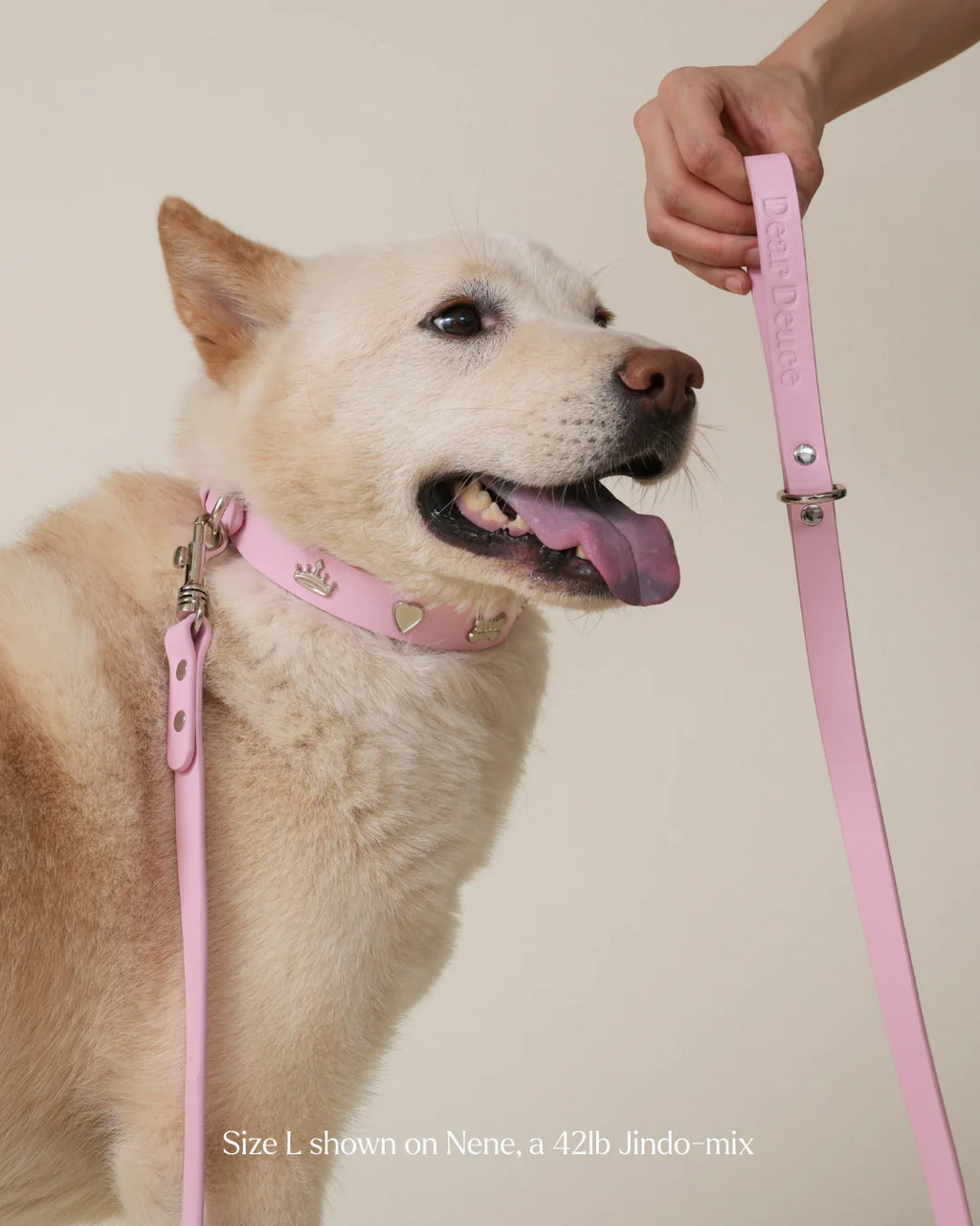 Princess Collar