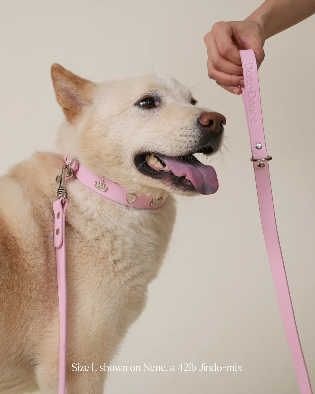 Princess Collar