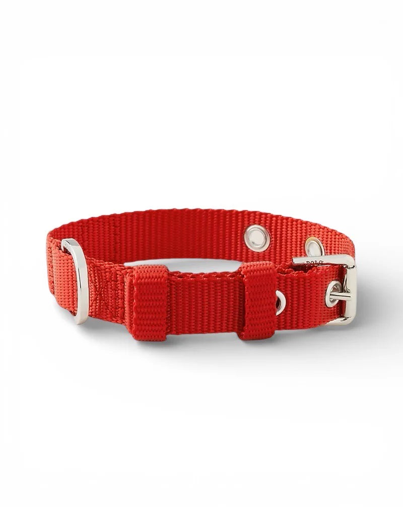 Polo Ralph Lauren Nylon Dog Collar