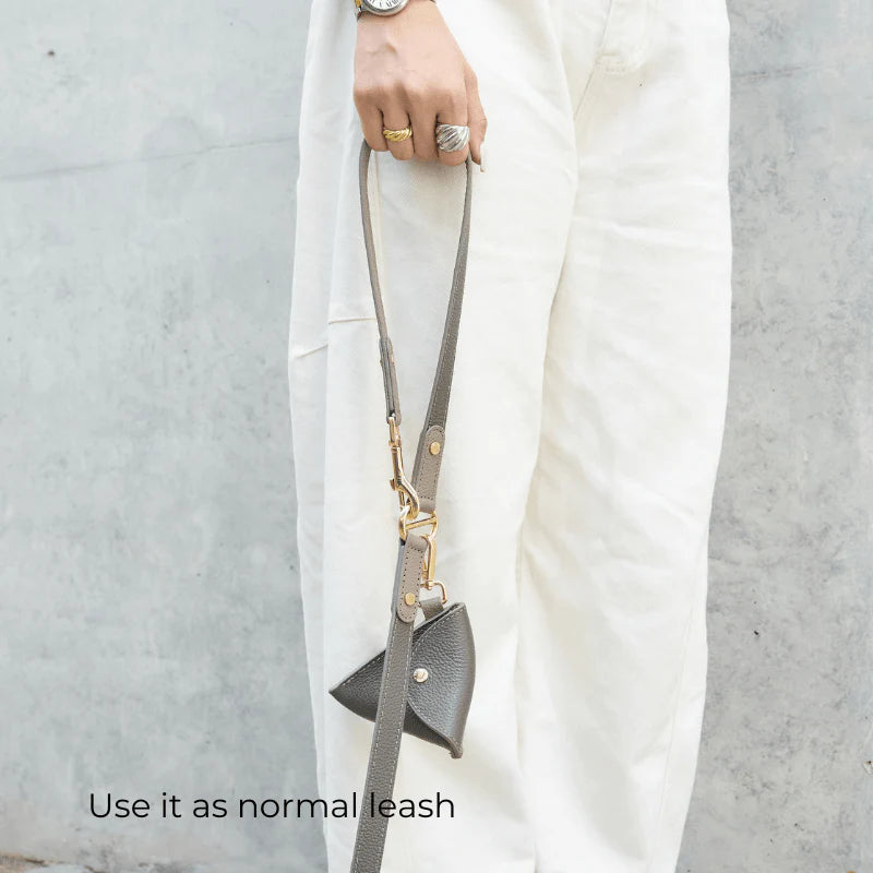Sand Hands-Free Dog Leash