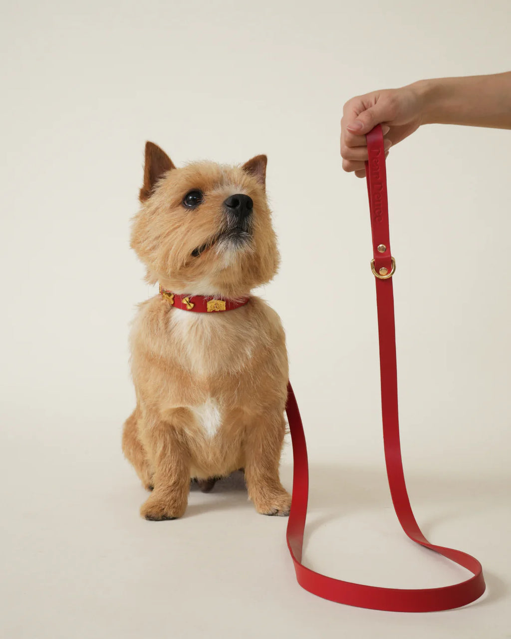 Foodie Leash