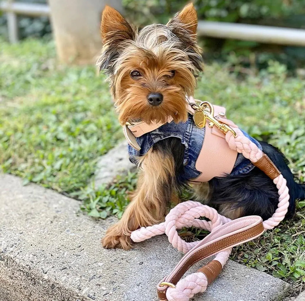 Handcrafted Leather Harness