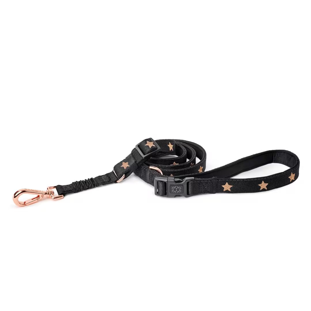 City Leash Set - Rockstar (Nomad)