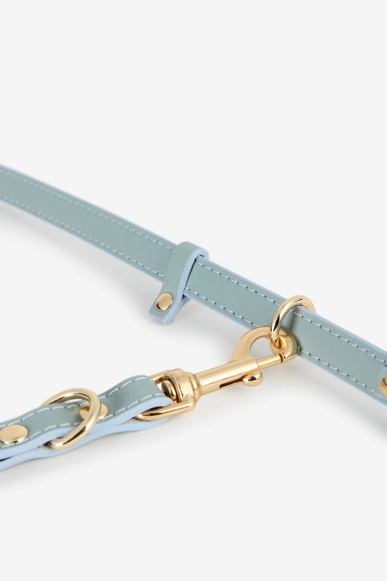 Sky Blue Leather Nara Dog Lead