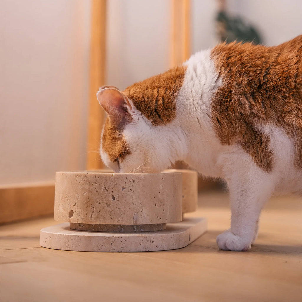 The Travertine Pet Bowl Set