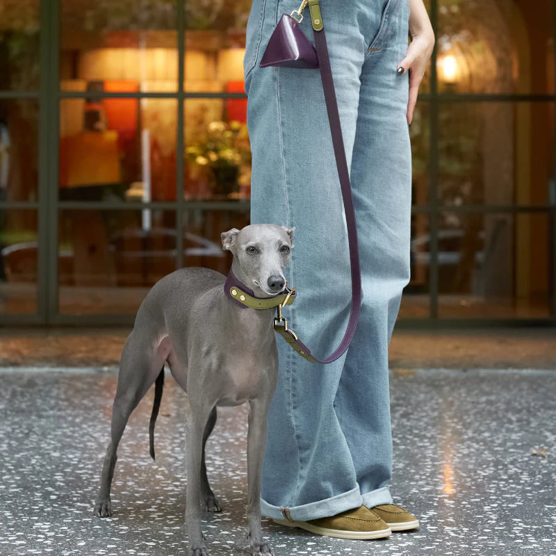 Purrble Hands-Free Dog Leash