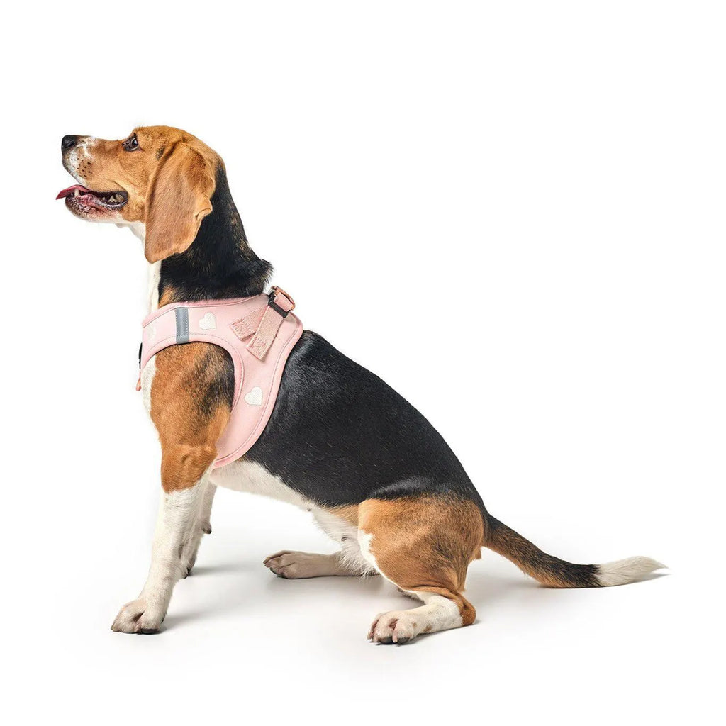 Soho Dog Harness - Sweetheart