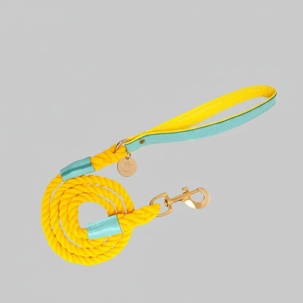 The Braided Rope Leather-Handle Leash
