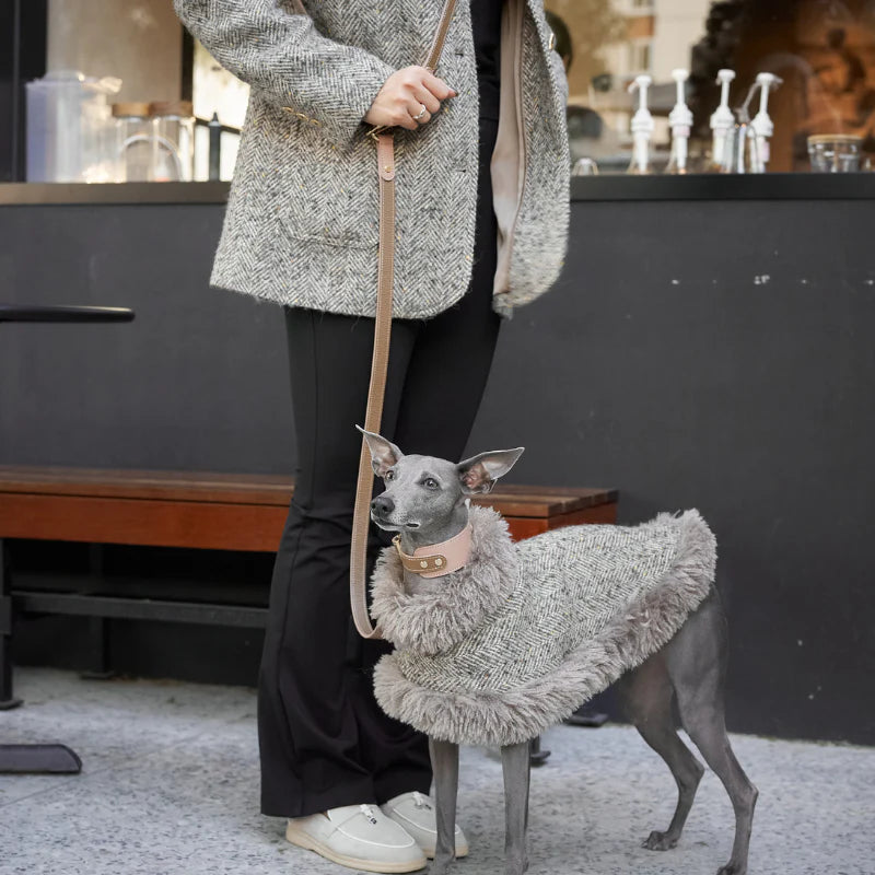 Blushwood Hands-Free Dog Leash