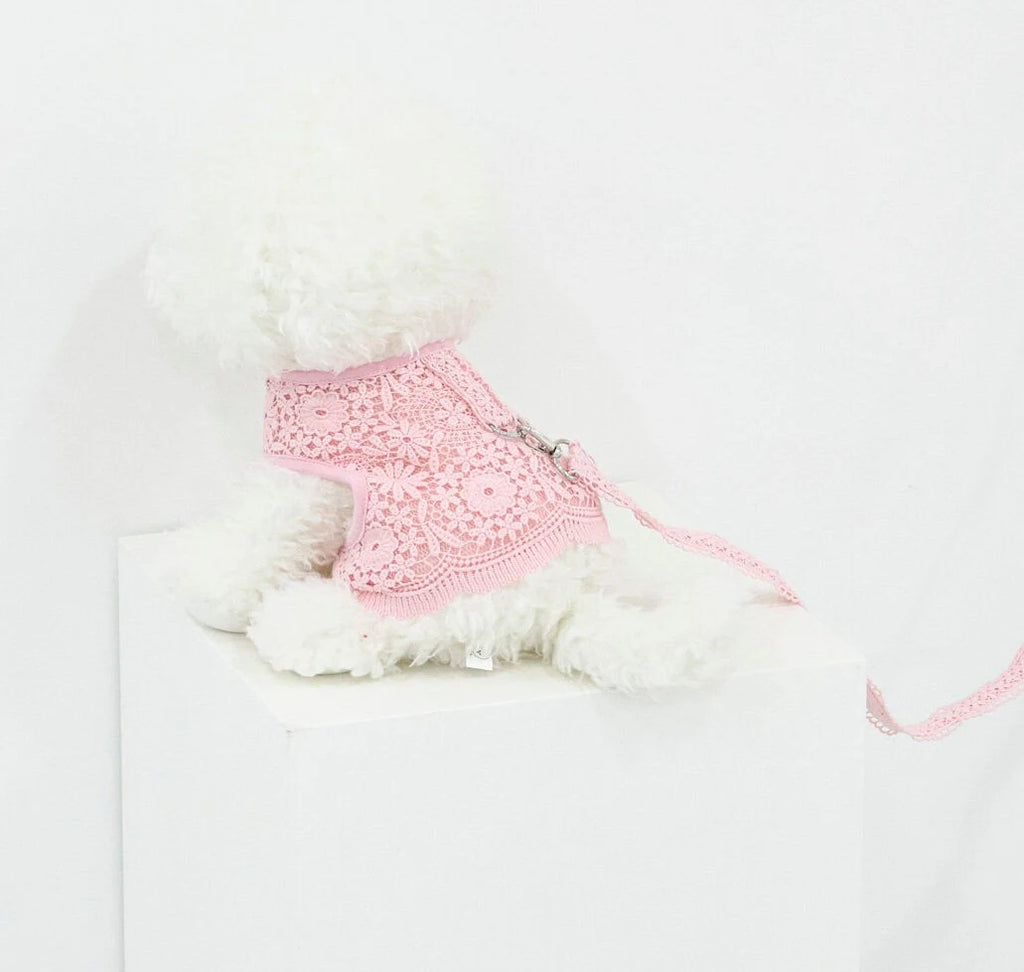 Lace Harness Dress & Leash Set