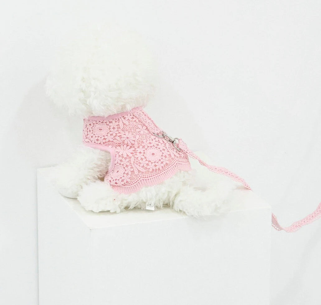 Lace Harness Dress & Leash Set