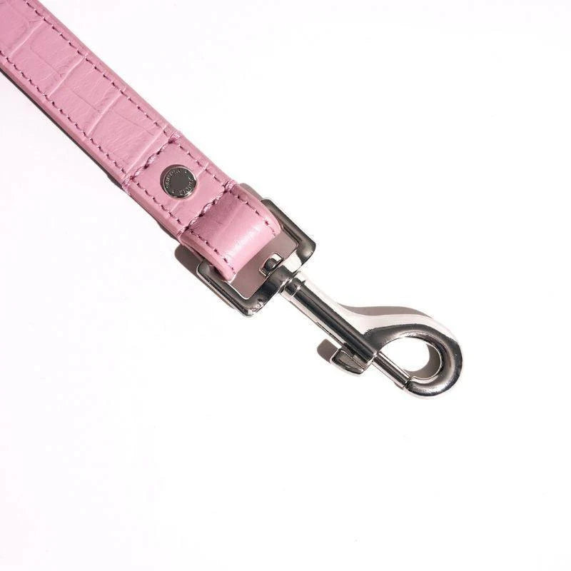 Flamingo Leather Dog Leash