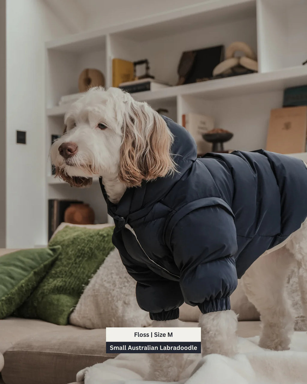 Midnight | the Modular Puffer