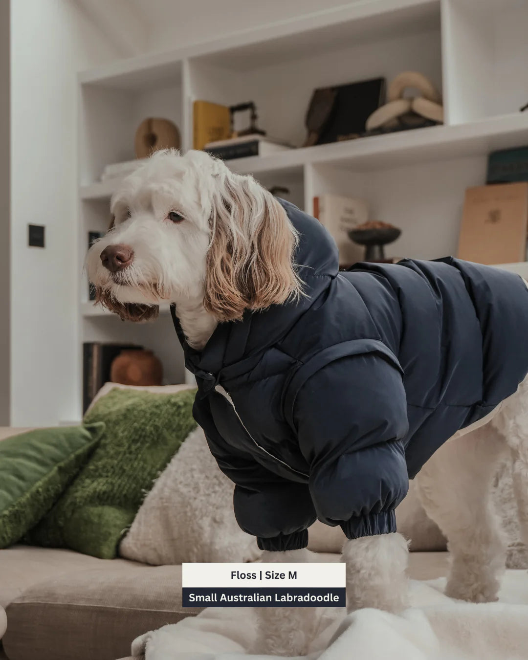 Midnight | the Modular Puffer