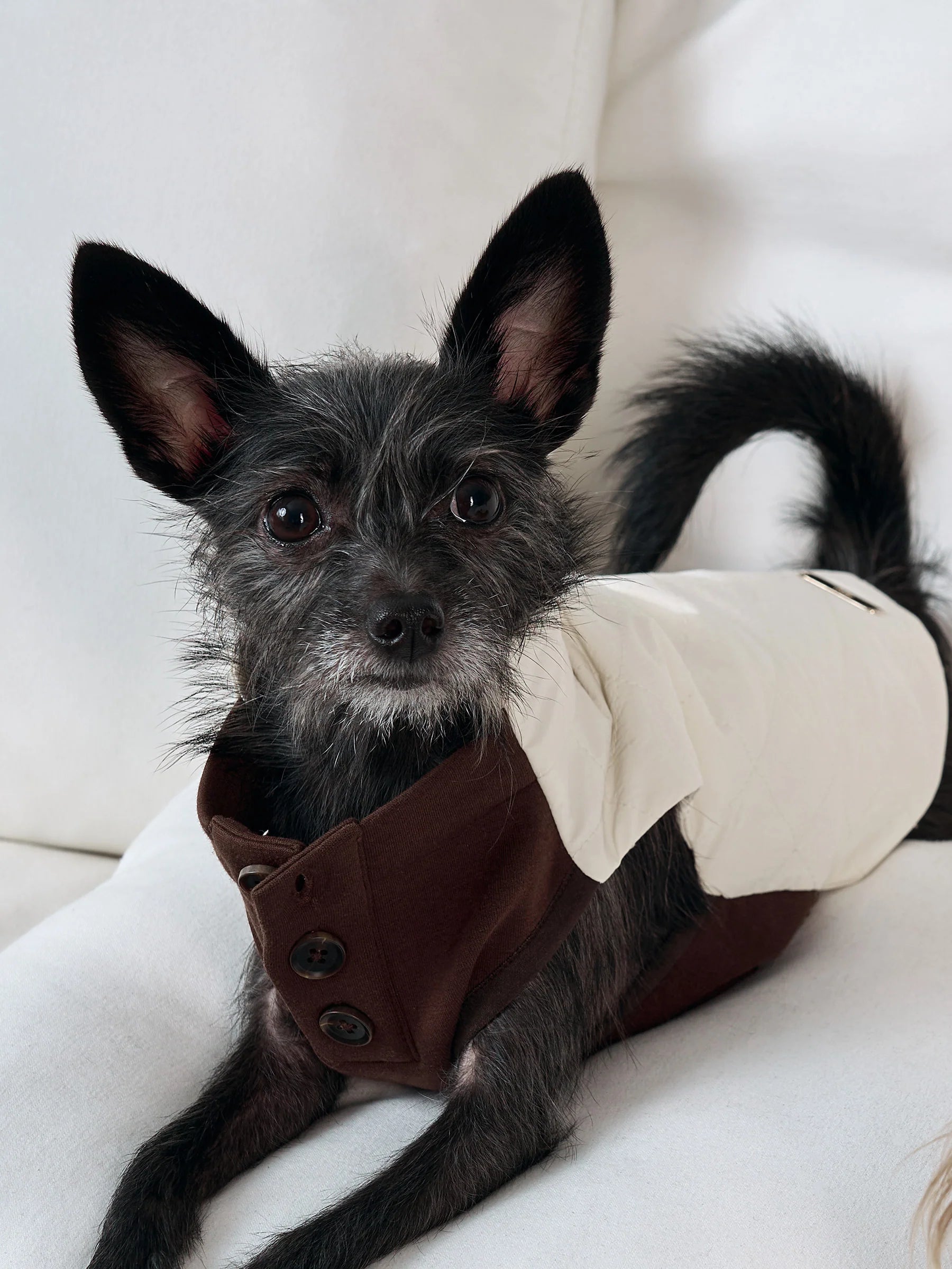 Pup Trust Fund