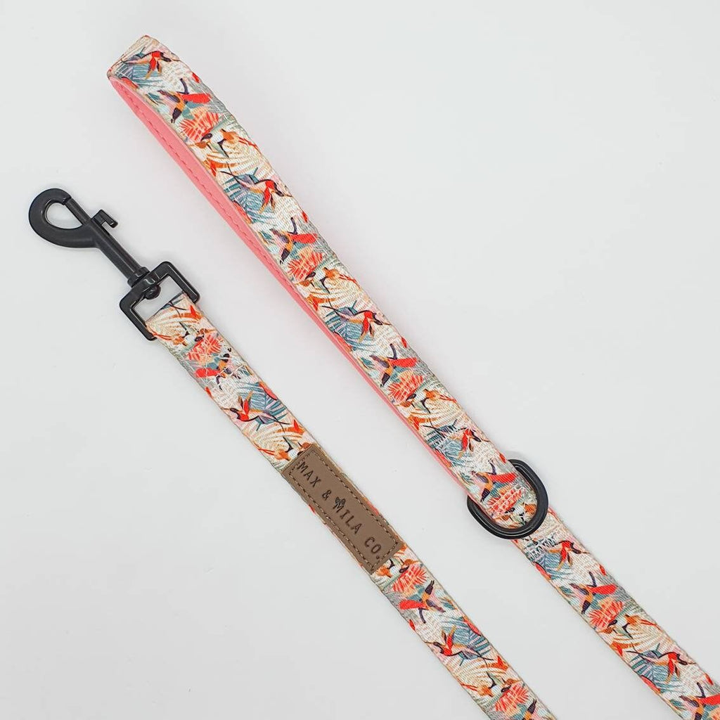 Paradise Designer Dog Harness Set